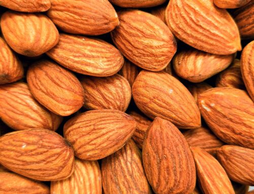 LA IMPORTANCIA DE LA ALMENDRA HOMOGÉNEA